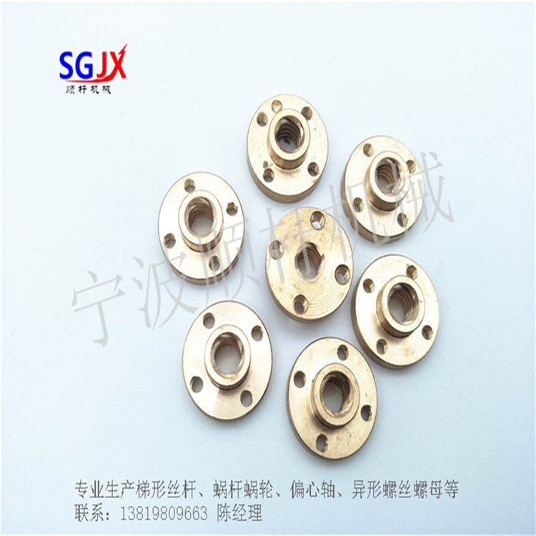 消隙螺母 法蘭（lán）銅（tóng）螺母  彈簧螺母